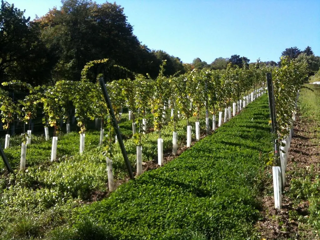 וינה Exquisites Gartenapartment In Eleganter Jugendstilvilla