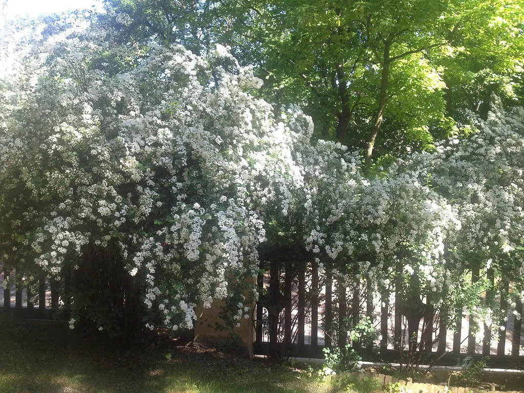 Exquisites Gartenapartment In Eleganter Jugendstilvilla Vienna